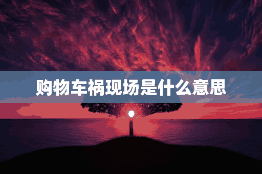 购物车祸现场是什么意思